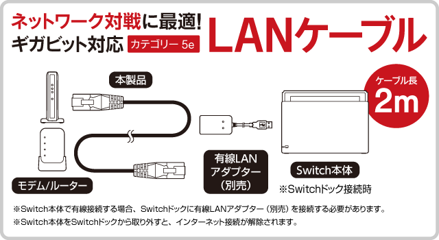 Cyber Lanケーブル Switch用 サイバーガジェット